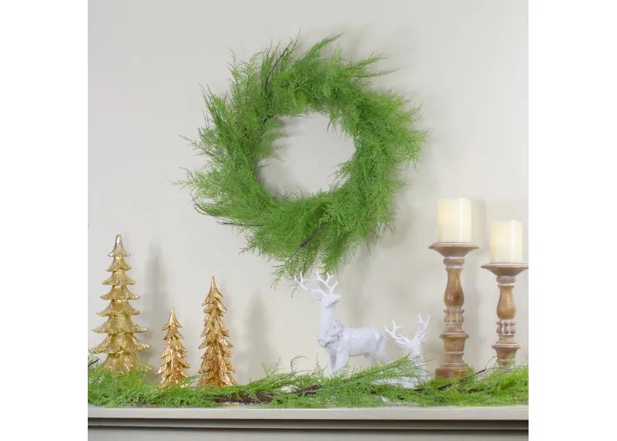 Brown and Green Cedar Christmas Wreath - 24-Inch  Unlit