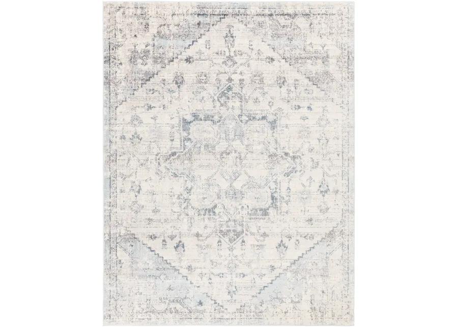 Ankara AKR-2310 8'10' x 12' White Rug