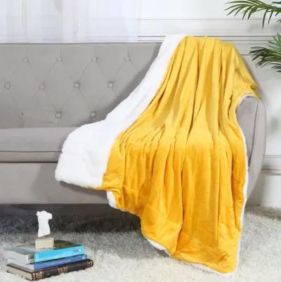 Legacy Decor Luxurious Soft Velour Fleece Throw with Super Ultra Soft Faux Fur on Backside Blanket 49”x 73” White Color