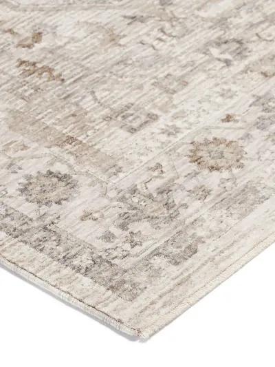 Cyprus CY4 Ivory 20" x 30" Rug