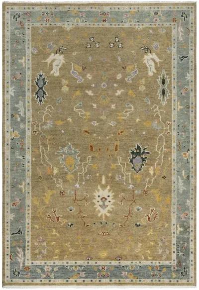 Envision ENV965 6' x 9' Rug