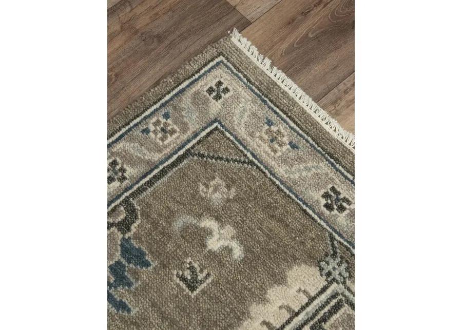 Ashton ATN919 10' x 14' Rug