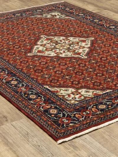 Lilihan 6'7" x 9'6" Red Rug