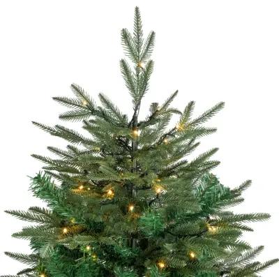 7.5' Pre-Lit Hudson Fir Artificial Christmas Tree  Warm White LED Lights