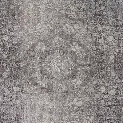 Sarrant 3967F Gray/Silver/Ivory 6'7" x 9'10" Rug