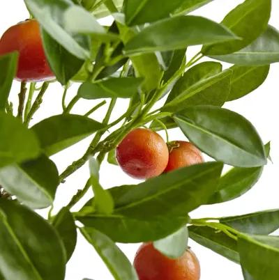 HomPlanti 38 Inches Potted Orange Tree