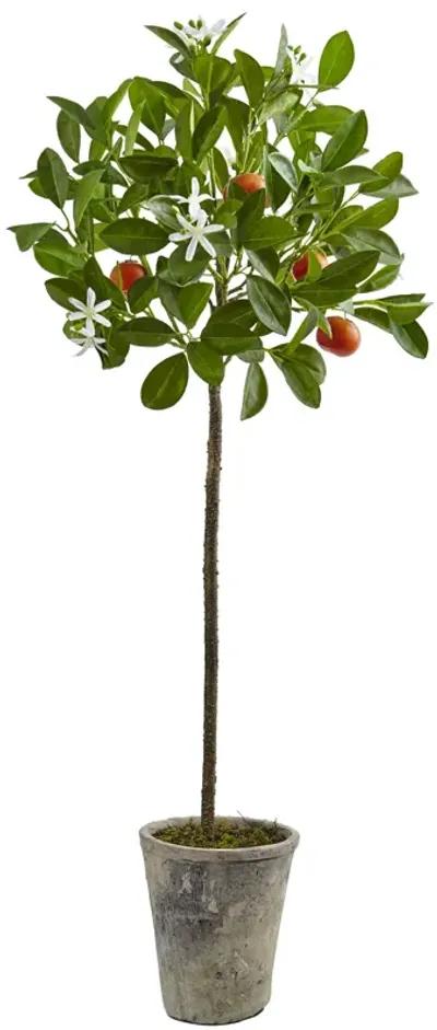 HomPlanti 38 Inches Potted Orange Tree