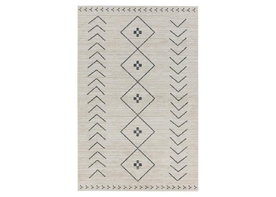 Nadine Taos White 7'10" x 10' Rug