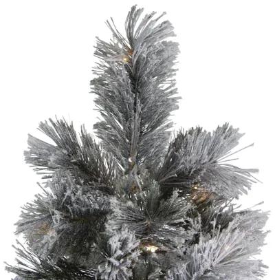 7.5' Pre-Lit Full Black Spruce Artificial Christmas Tree - Clear LED Lights