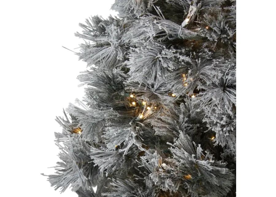 7.5' Pre-Lit Full Black Spruce Artificial Christmas Tree - Clear LED Lights