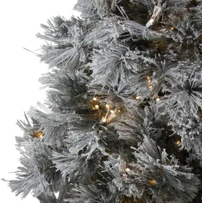 7.5' Pre-Lit Full Black Spruce Artificial Christmas Tree - Clear LED Lights