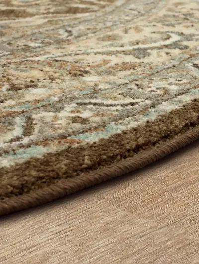 Euphoria Newbridge Brown 12' X 15' Rug