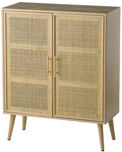 Dana 40 Inch Storage Cabinet, Wood Frame, 2 Shelves, 2 Rattan Doors, Brown - Benzara