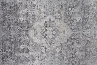 Sarrant 3966F Gray/Silver/Ivory 2' x 3' Rug