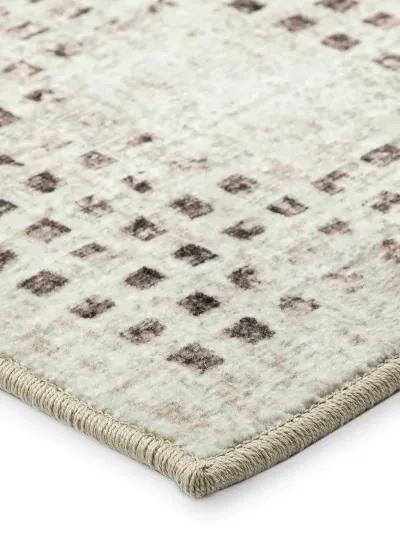 Delano DA1 Ivory 10' Rug