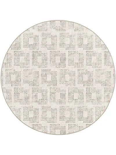 Delano DA1 Ivory 10' Rug