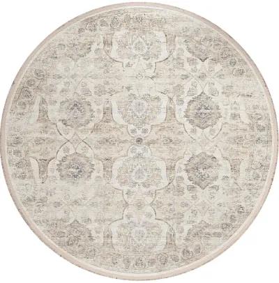 Marbella MB5 Ivory 10' Rug