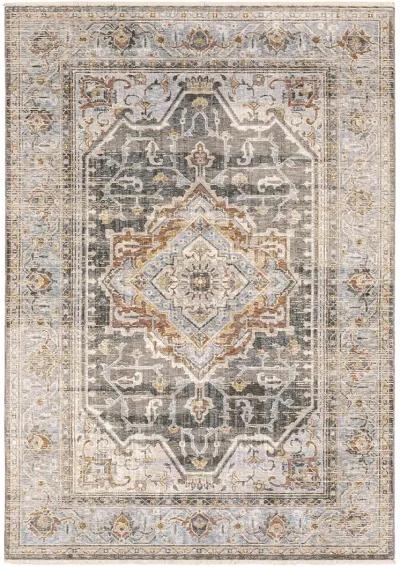 Maharaja 3'3" x 5' Charcoal Rug