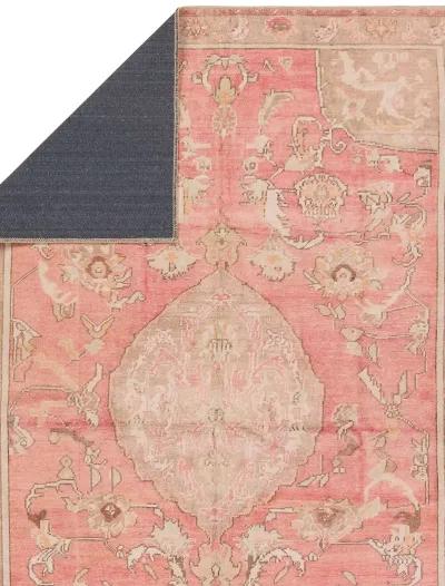 Garcia Cheney Pink 9' x 12' Rug