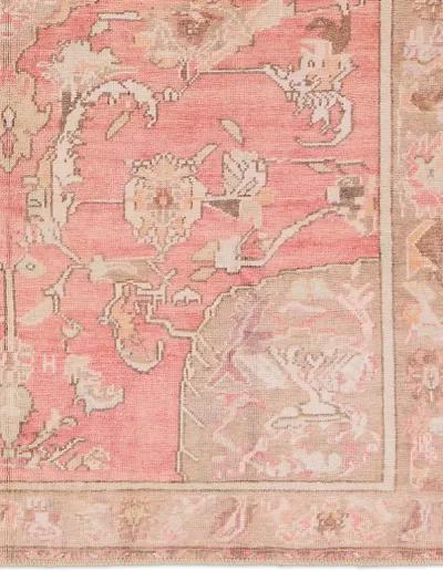 Garcia Cheney Pink 9' x 12' Rug