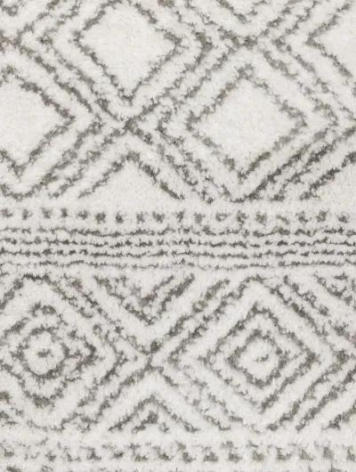 Montecito 9'10" x 12'10" Wht Rug