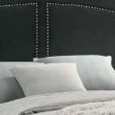 Lily Platform King Upholstered Bed, Padded Headboard, Black, Gold-Benzara