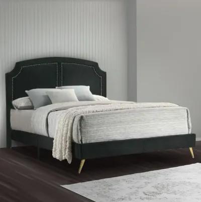 Lily Platform King Upholstered Bed, Padded Headboard, Black, Gold-Benzara