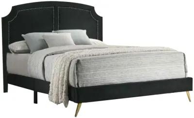 Lily Platform King Upholstered Bed, Padded Headboard, Black, Gold-Benzara