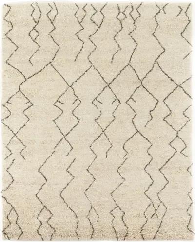 Taza Moroccan Hand Knotted 10' x 14' Rug