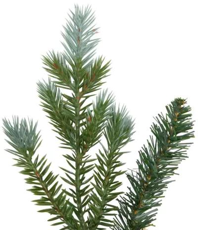 Blue Spruce Artificial Christmas Wreath  24-Inch  Unlit