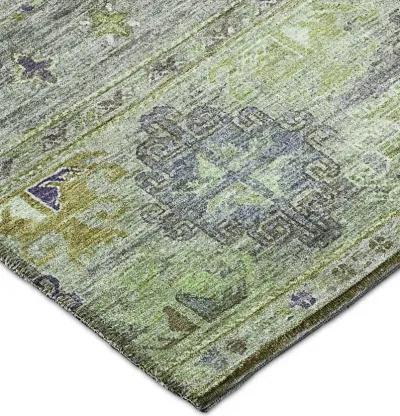 Karaj KJ5 Sage 30" x 46" Rug