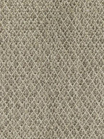 Caicos 9'10" x 12'10" Grey Rug