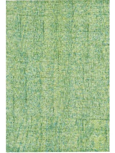 Calisa CS5 Kiwi 2'3" x 7'6" Rug