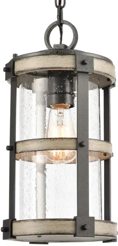 Annenberg 8'' Wide 1-Light Outdoor Pendant