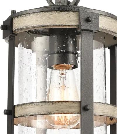 Annenberg 8'' Wide 1-Light Outdoor Pendant