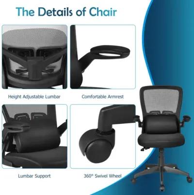 Hivvago Ergonomic Desk Chair with Lumbar Support and Flip up Armrest