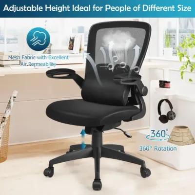 Hivvago Ergonomic Desk Chair with Lumbar Support and Flip up Armrest