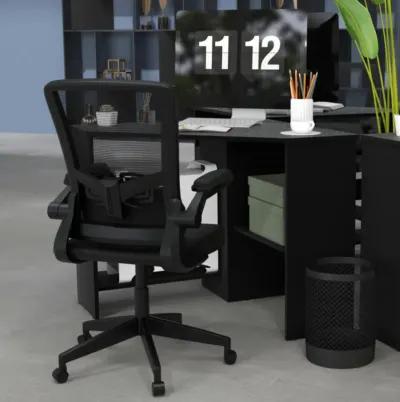 Hivvago Ergonomic Desk Chair with Lumbar Support and Flip up Armrest