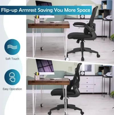 Hivvago Ergonomic Desk Chair with Lumbar Support and Flip up Armrest