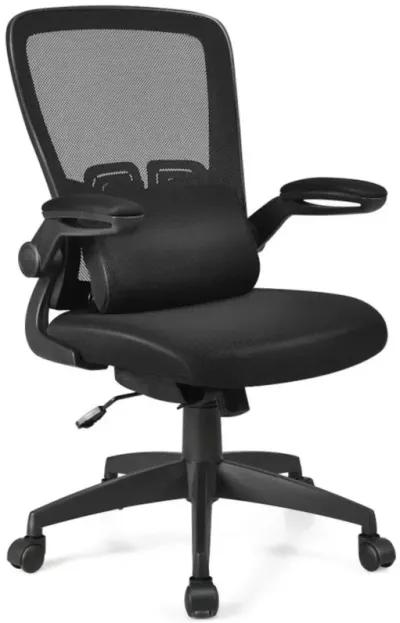 Hivvago Ergonomic Desk Chair with Lumbar Support and Flip up Armrest