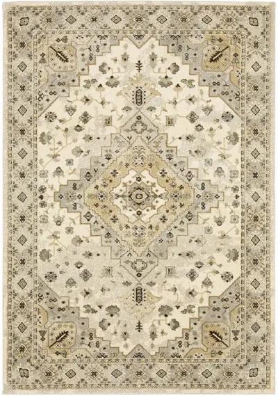 Florence 9'10" x 12'10" Bge Rug