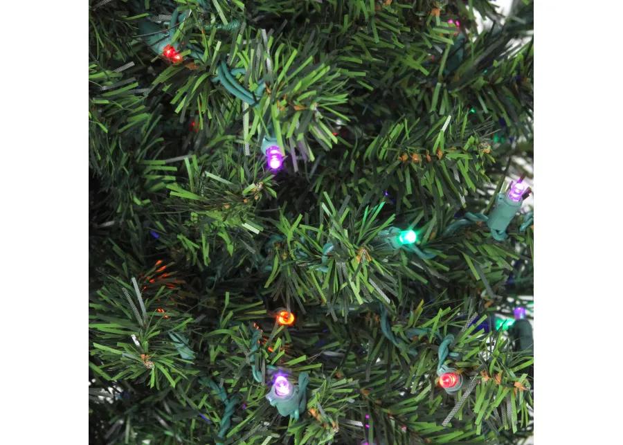 18" Pre-Lit Canadian Pine Artificial Christmas Tree - Multicolor Lights