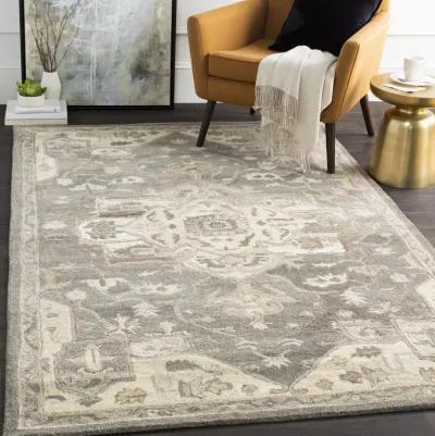 Caesar CAE-1144 12' x 15' Beige Rug