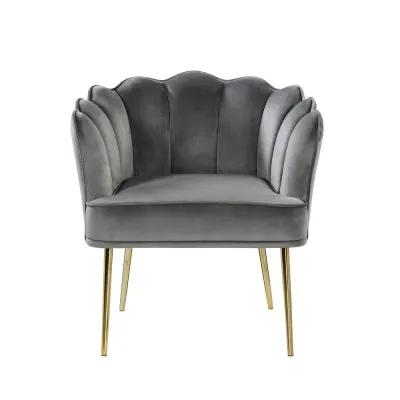 Jackie Gray Velvet Accent Chair with Gold Legs