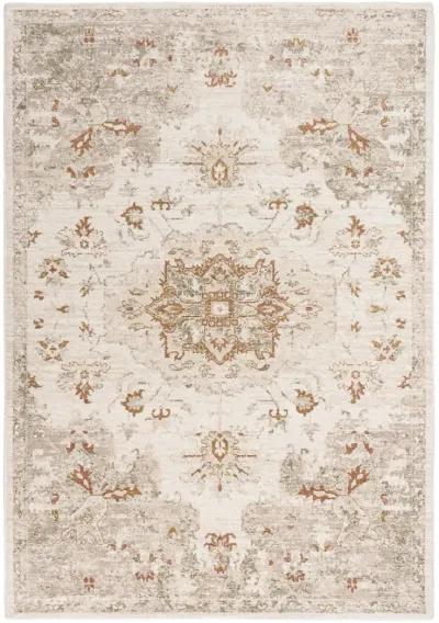 Ventura VRA749 10' x 13' Rug