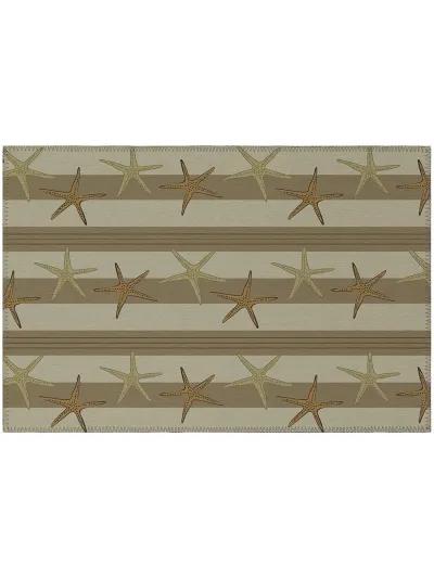 Seabreeze SZ12 Beige 20" x 30" Rug