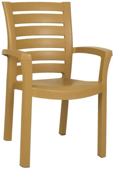 35.5" Brown Resin Solid Stackable Weather Resistant Dining Arm Chair