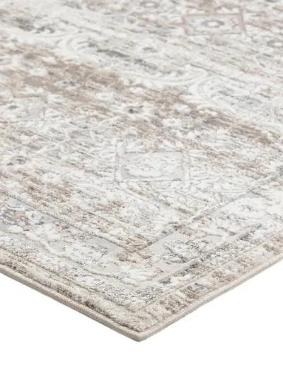 Rhodes RR7 Taupe 7'10" x 10' Rug