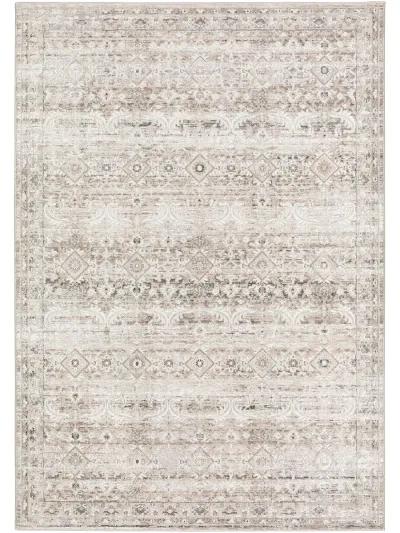 Rhodes RR7 Taupe 7'10" x 10' Rug