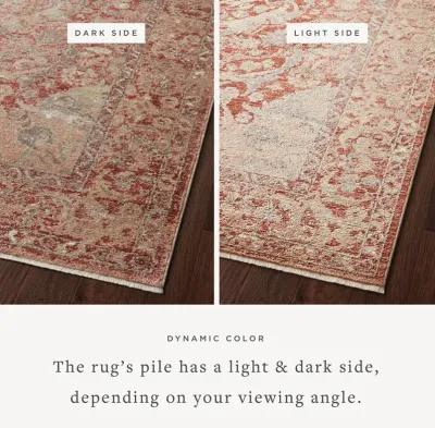 Sonnet Spice/Multi 11'6" x 15' Rug